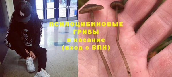 трава Новокубанск