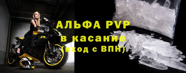 дурь Няндома