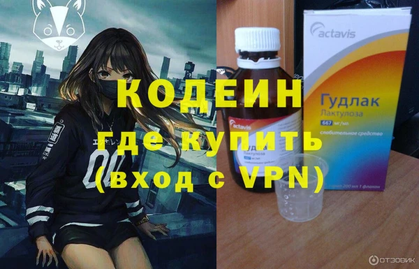 дурь Няндома
