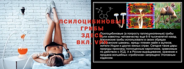 ALPHA PVP Новодвинск
