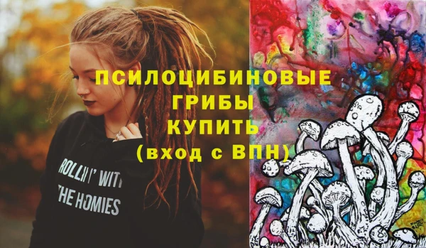 ALPHA PVP Новодвинск