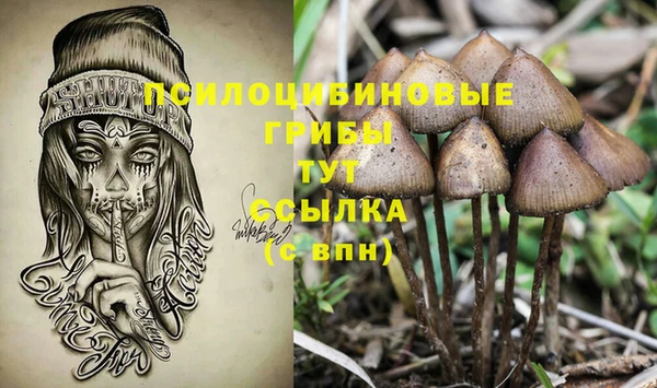ECSTASY Нязепетровск