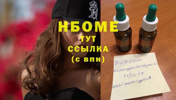 дурь Няндома