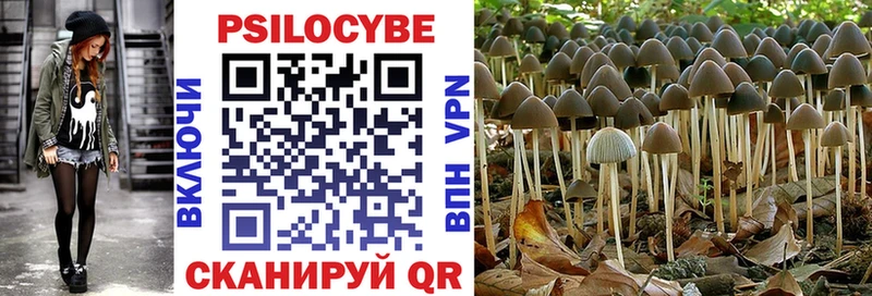 Галлюциногенные грибы MAGIC MUSHROOMS  Комсомольск 